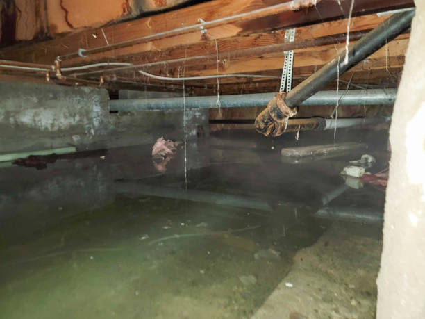 Best Water damage restoration near me  in Woodfin, NC