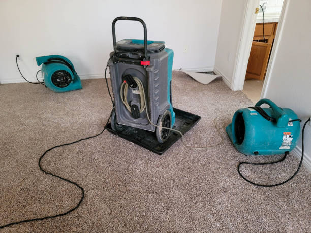 Best Basement water damage restoration  in Woodfin, NC