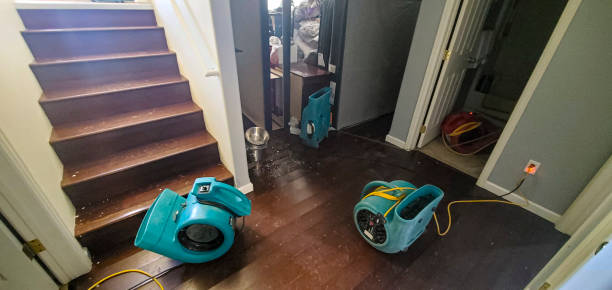 Best Flood damage cleanup  in Woodfin, NC