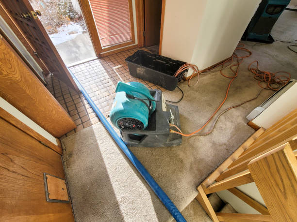 Best Ceiling water damage repair  in Woodfin, NC