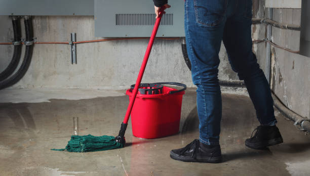 Best Emergency water damage restoration  in Woodfin, NC