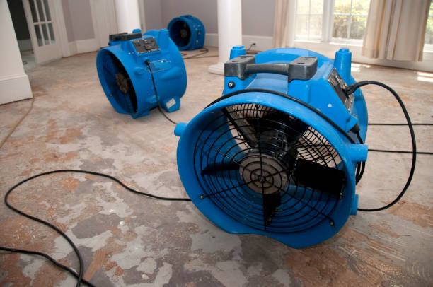 Best Water damage cleanup near me  in Woodfin, NC