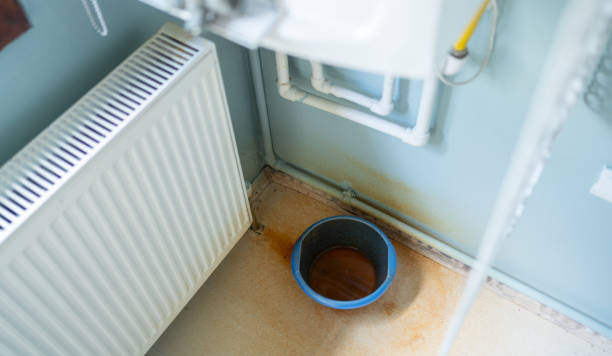 Best Professional water damage repair  in Woodfin, NC