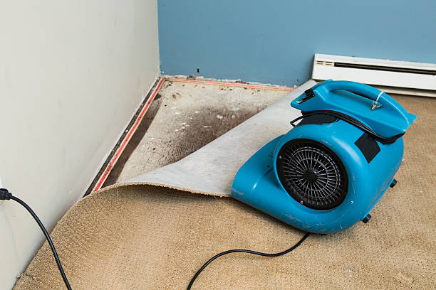 Best Residential water damage restoration  in Woodfin, NC